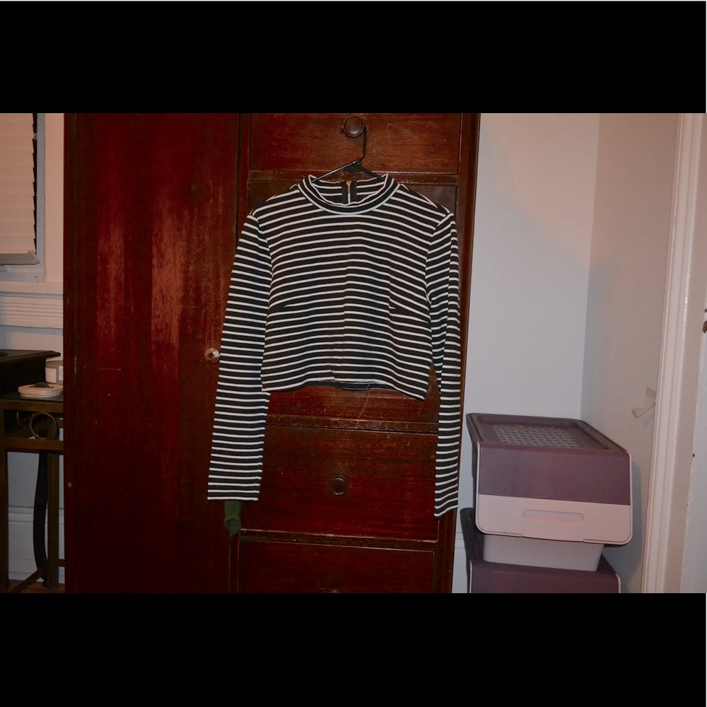 Forever 21 Striped Turtleneck Crop Top
